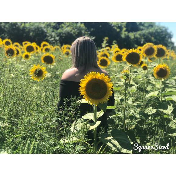 Meet your Posher, Jamie - Picture 1 of 1